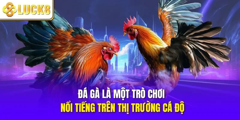 Đá gà là một trò chơi nổi tiếng trên thị trường cá độ