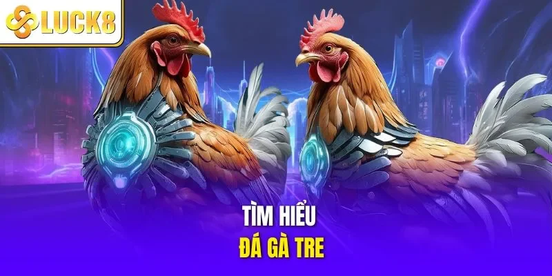 Tìm hiểu đá gà tre